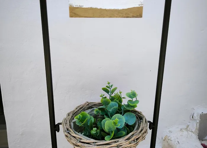 Casa de Férias Deppy's House